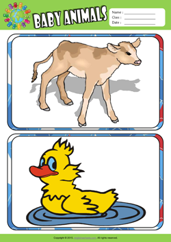 Baby Animals ESL Flashcards Set for Kids