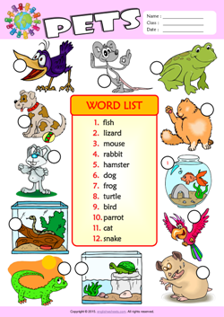 Pets Number the Pictures ESL Vocabulary Worksheet