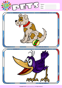 Pets ESL Flashcards Set for Kids