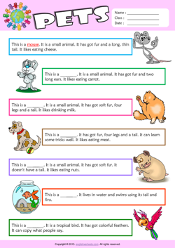 Pets Find the Words ESL Vocabulary Worksheet