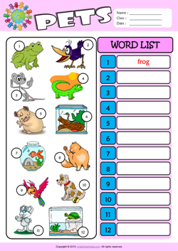 Pets Write the Words ESL Vocabulary Worksheet