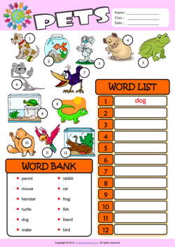 Pets ESL Find and Write the Words Worksheet For Kids