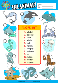 Sea Animals Number the Pictures ESL Vocabulary Worksheet