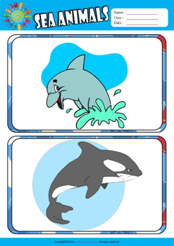 Sea Animals ESL Flashcards Set for Kids