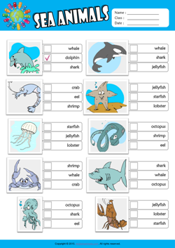 Sea Animals ESL Multiple Choice Worksheet For Kids