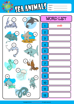 Sea Animals Write the Words ESL Vocabulary Worksheet