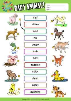 Baby Animals ESL Matching Exercise Worksheet For Kids