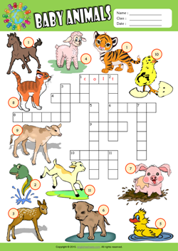 Baby Animals Crossword Puzzle ESL Vocabulary Worksheet