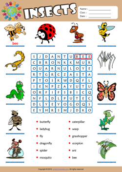 Insects Word Search Puzzle ESL Vocabulary Worksheet