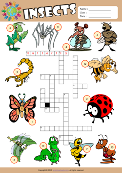 Insects Crossword Puzzle ESL Vocabulary Worksheet