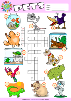 Pets Crossword Puzzle ESL Vocabulary Worksheet