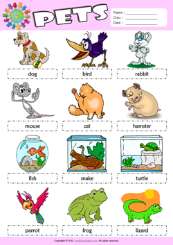 Pets ESL Printable Worksheets For Kids 1