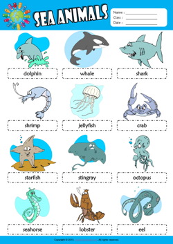 Sea Animals Picture Dictionary ESL Vocabulary Worksheet