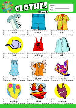 Summer Clothes Picture Dictionary ESL Vocabulary Worksheet