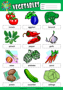 Vegetables Picture Dictionary ESL Vocabulary Worksheet