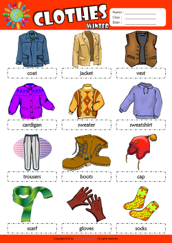 Winter Clothes Picture Dictionary ESL Vocabulary Worksheet